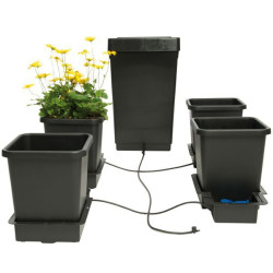 AUTOPOT 4 POTS SYSTEME...