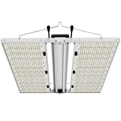 Indoorled - Quantum Max 640w - Full Spectrum
