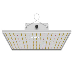 INDOORLED QUANTUM MAX 150
