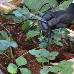 Canopia - Kit d'irrigation goutte à goutte