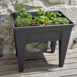 013925 G.ANT VEG&TABLE MAX DIM 75.6 X 55.6 x 68 CM