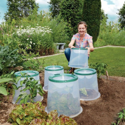 Garantia - Lot de 3 Serres cloches de potager Sunny (sur commande)