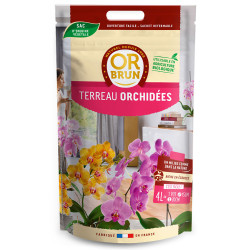 Or Brun - Orchidées - 4L - Terreau