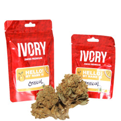 Ivory - Critical 5g - Fleurs de CBD en sachet