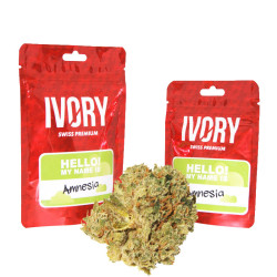 Ivory - Amnesia 2g - Fleurs de CBD en sachet