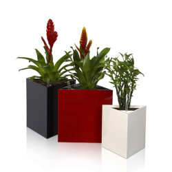 Flower Lover - Triangle pot auto irrigant - 14x14x14cm - Violet