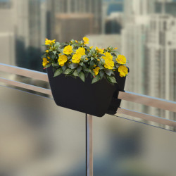 Flower lover - Balconnière Ovi Balconia - 60cm - Anthracite