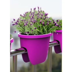 Flower lover - Balconnière Ovi Balconia - 26cm - Anthracite