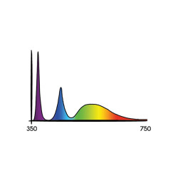 Secret Jardin - Cosmorrow LED - 40W - 90cm - Lampe à ultraviolet