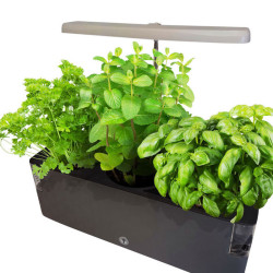 VG Garden - Smart Grow LED 10W Wide - Eclairage spécial pot