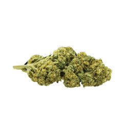 Fleurs de chanvre - Amnesia Kush - Green House - CBD 500g