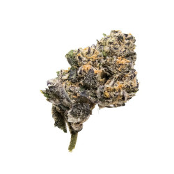 Fleurs de chanvre - Wedding Cake - Indoor - CBD 100g