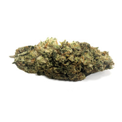 PRO FLEUR CBD GOD FATHER OG INDOOR 50G