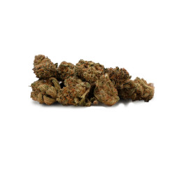 PRO FLEUR CBD SMALL BUD STRAWBERRY GH 100G