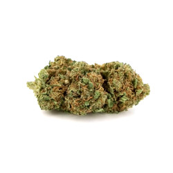 PRO FLEUR CBD CHOCO GH 100G