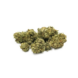 PRO FLEUR CBD SMALL BUD + LEMONCELLO INDOOR 1KG