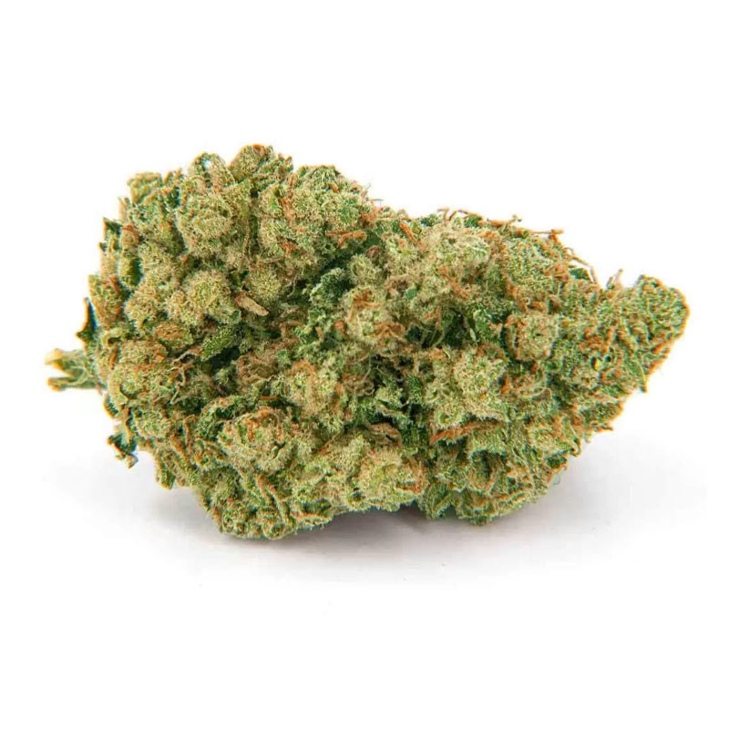 Fleurs de chanvre - Amnesia PREMIUM Indoor - CBD 1kg