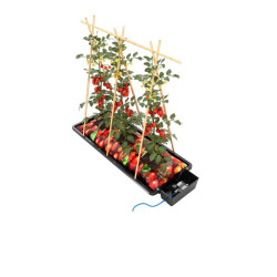 Autopot - Tray2grow - Système de culture autonome