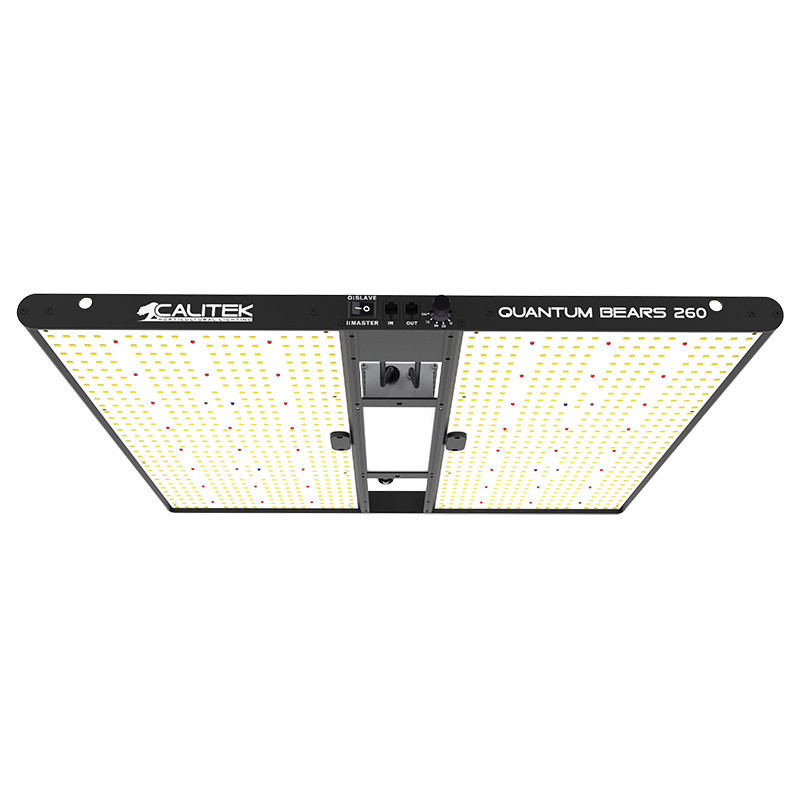 Calitek - Led Quantum Bears 260W