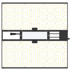 Calitek - Led Quantum Bears 260W