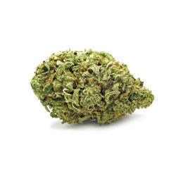 Fleurs de chanvre - Zkittlez Indoor - CBD 100g
