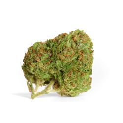 PRO FLEUR CBD HARLEQUIN 2 INDOOR 500G