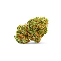 PRO FLEUR CBD BABY K GH 500G