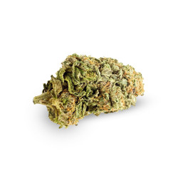 Platinium CBD - Fleurs de...