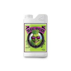 Big Bud - 250ml - Advanced...