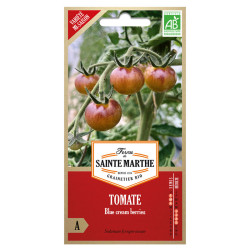 La ferme Sainte Marthe - 50 graines AB - Blue Cream Berries