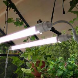 BRIGHTON - LED GROW LIGHT EU