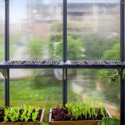 GREENHOUSE SHELF KIT BUNDLE - CANOPIA LEAVES x 4 Pcs