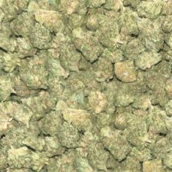 INDOOR SMALLBUD AMNESIA 1KG CBD