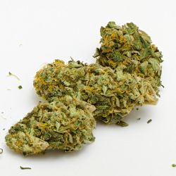 GLASSHOUSE SMALLBUD LEMON HAZE 1KG CBD