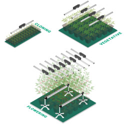 ThinkGrow LED - Barre LED Model One - FR-1 120cm - 2 canaux
