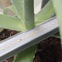 Superplant - T8 Led horticole - 14W - 90cm - 6400K