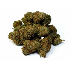 Fleur de CBD - Blue Berry Muffin small bud I - 500g