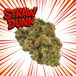 Straw Dunk Small Bud 100g - Skud Farm - Fleurs de Chanvre
