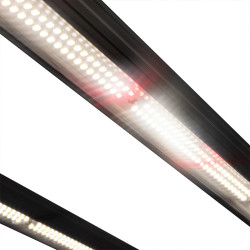 LED OMEGA 720W WITH BUILT IN DRIVER