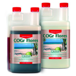 Canna - CoGr Flores - 2 x...