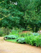 Grossiste Jardinage et Aménagement