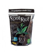 Substrat bouturage Root Riot