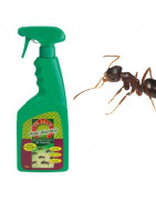 Lutte contre les fourmis, moustiques et guêpes