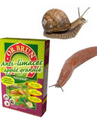 Lutte contre les limaces, escargot