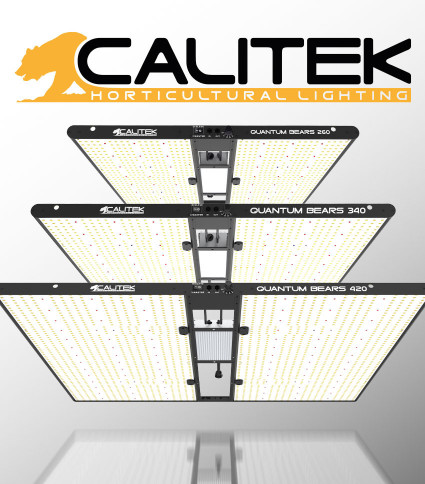 LED Calitek