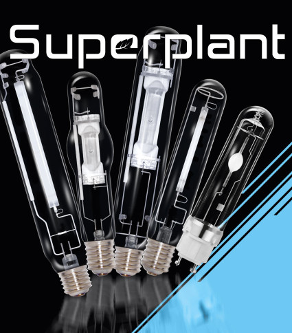 Ampoules de 23 à 1000W