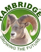 Grossiste Rambridge Canada