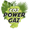 Co2 Power Gaz
