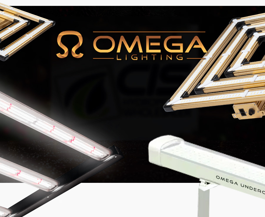 omega lights wholesale
